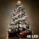 Luces de Navidad Blancas (48 LED)